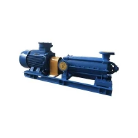 D Horizontal Mulistage Pump