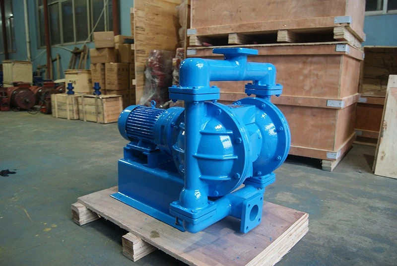 Electric Double Diaphragm Pump factory