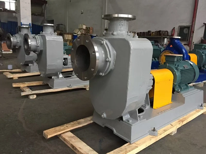 IHZ Self-priming Chemical Pump suppliers