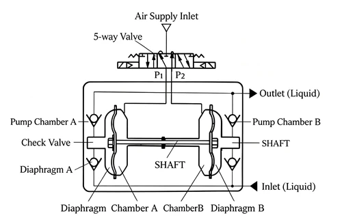 Working Principle of Positive Displacement Pumps