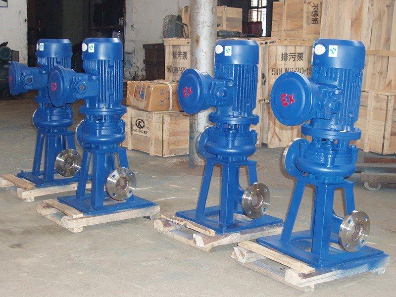 LW Inline Sewage Pump best