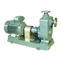 ZX Self-priming Clean Water Pump