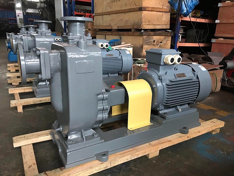 ZW Self-priming Sewage Pump factory
